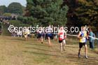 Boys under-15s, National Cross Country Relays, Berry Park, Mansfield. Photo: David T. Hewitson/Sports for All Pics